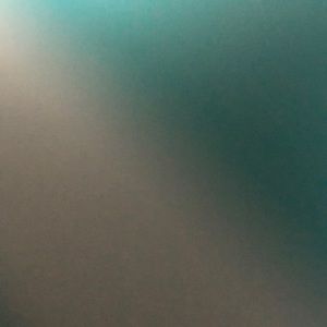 Meet your Posher, Zoe